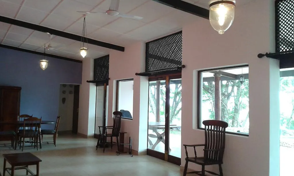 The Buena Vista Kandy